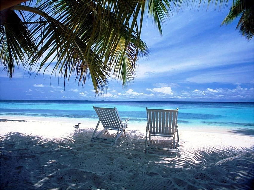 A peaceful beach scene.