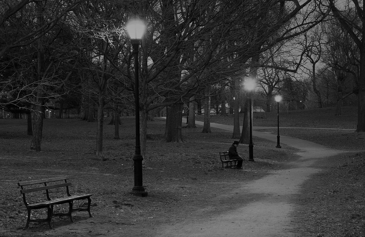 A person sitting alone on a park bench