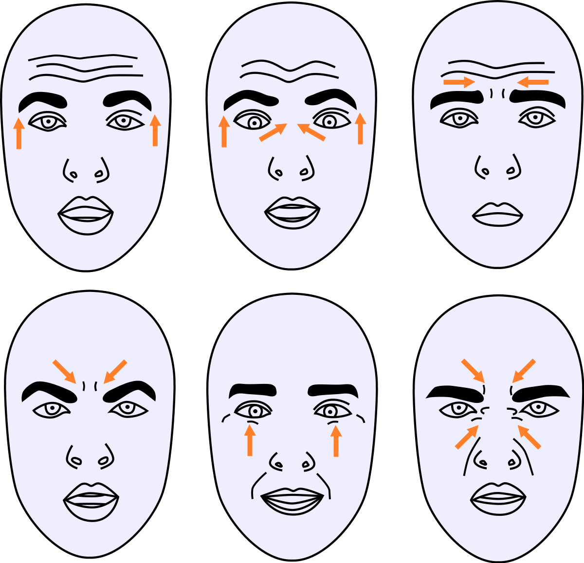 A person with various facial expressions.