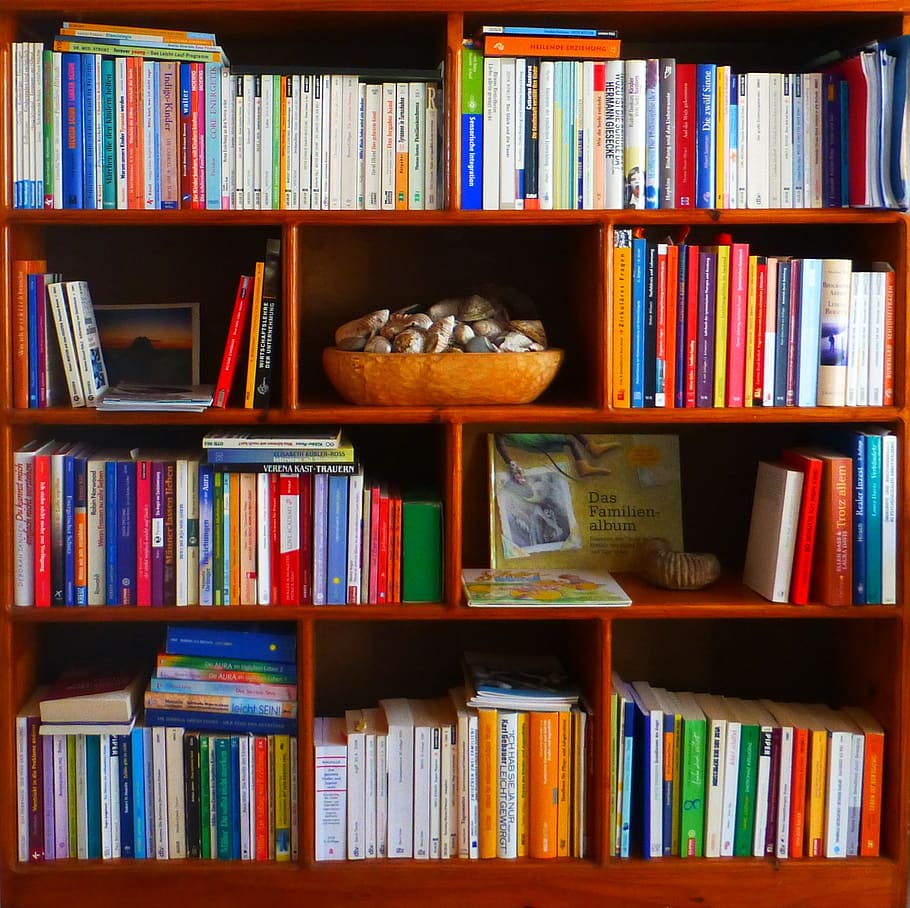 Bookshelf with various books