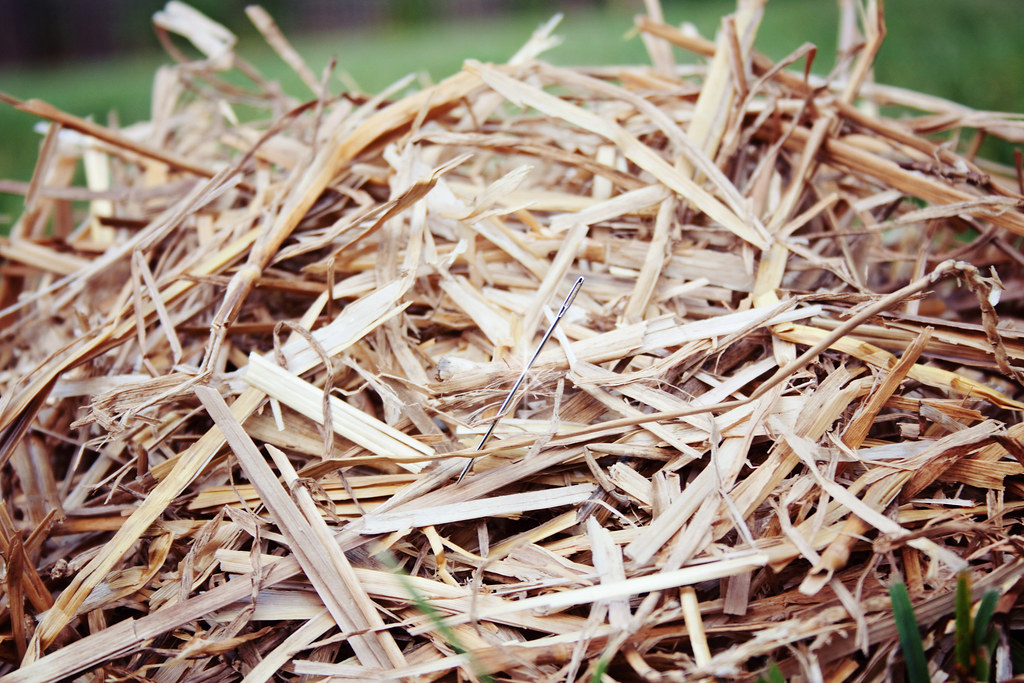 Hidden needle in haystack