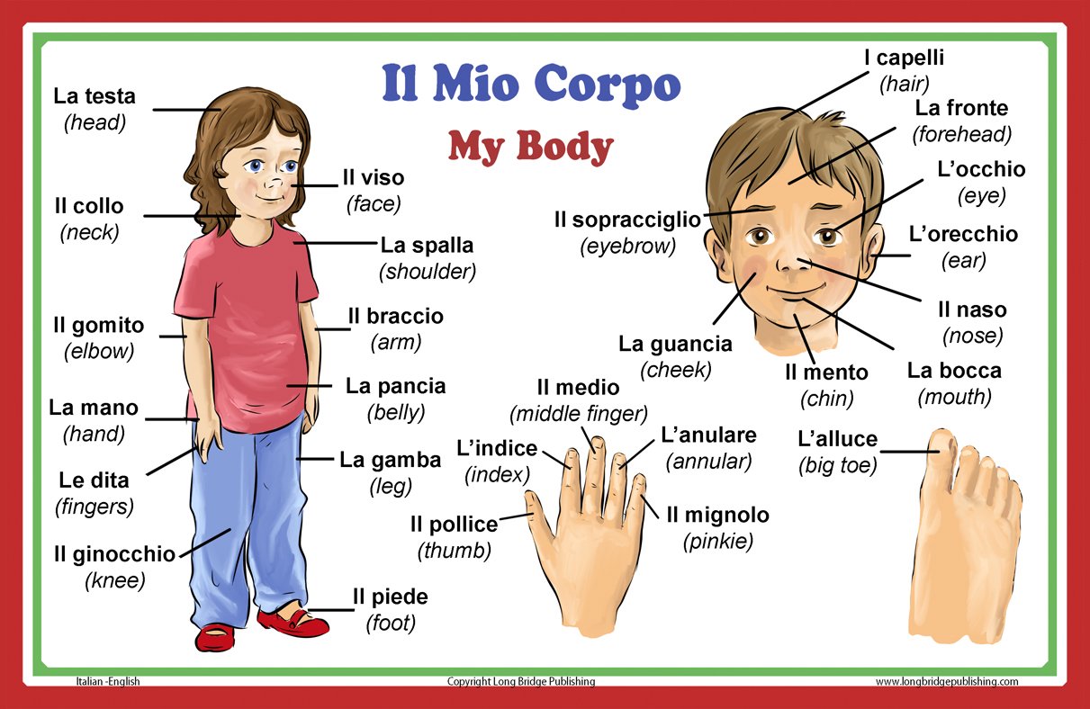Italian and English words side by side