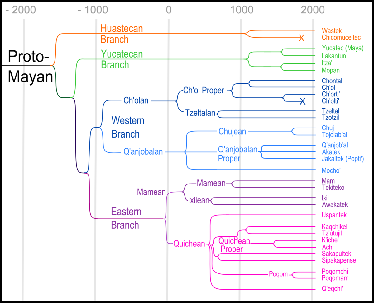 Language roots or tree diagram