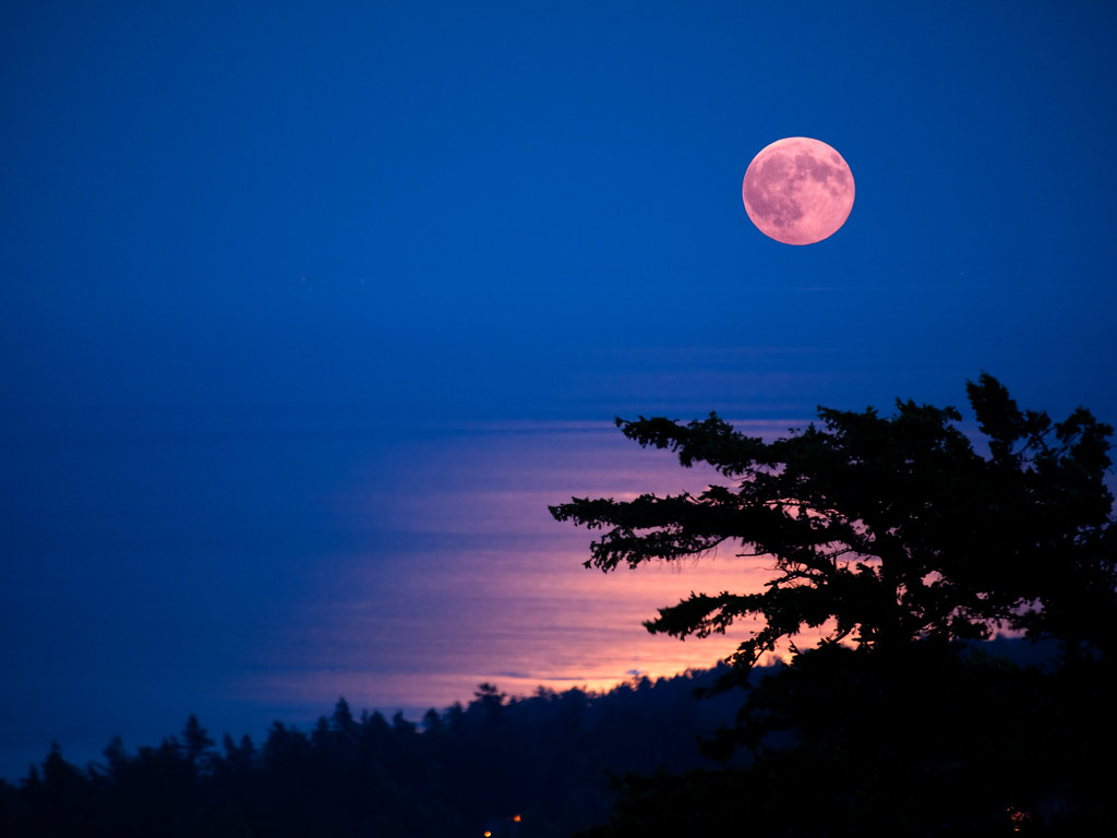 Moonrise over a romantic landscape