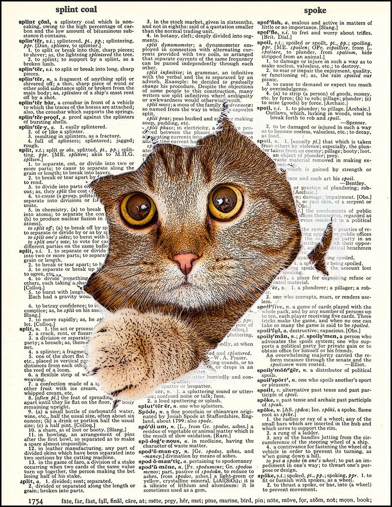 Vintage dictionary page with the phrase the cats pajamas highlighted