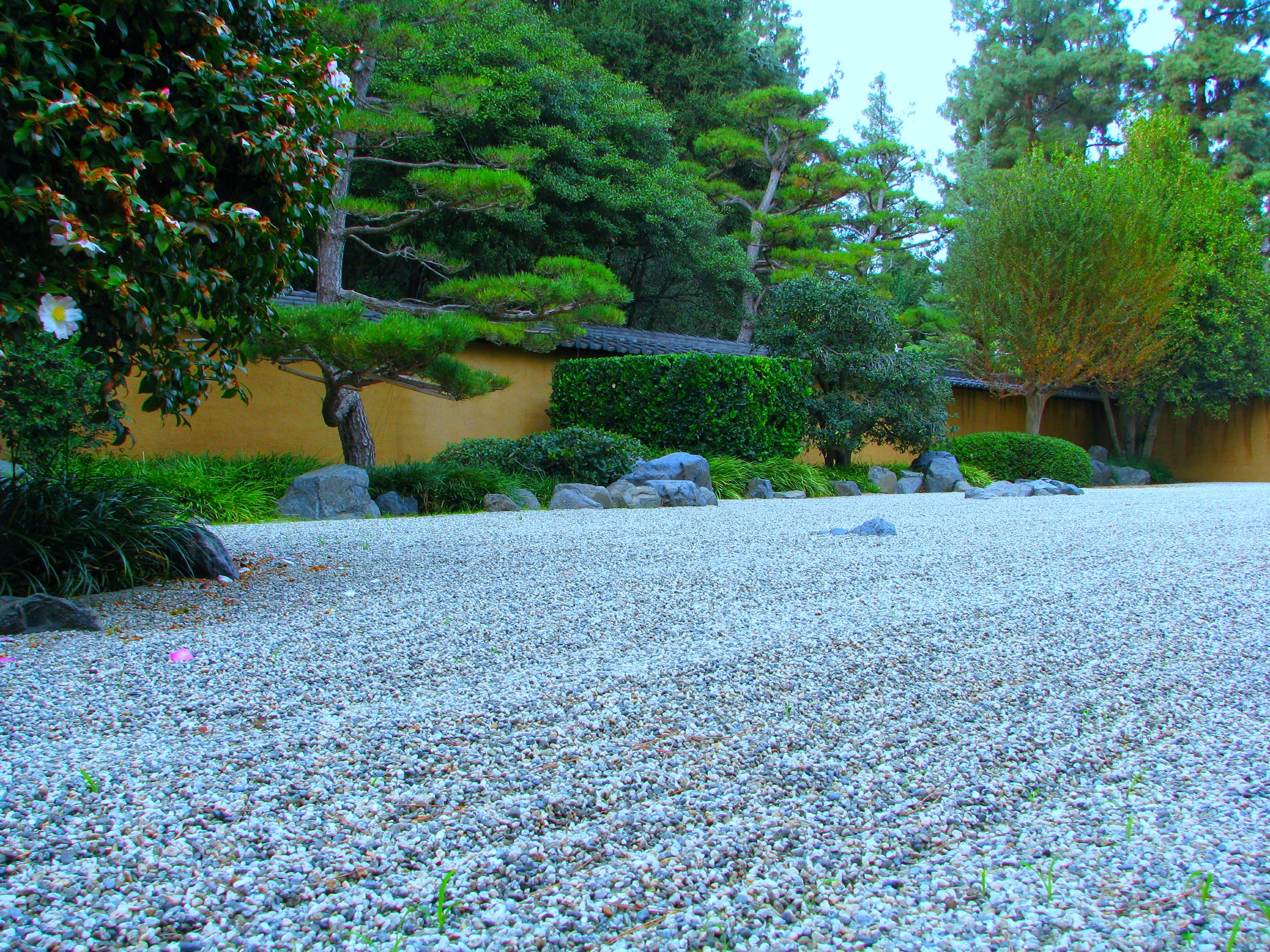 Zen garden with changing leaves